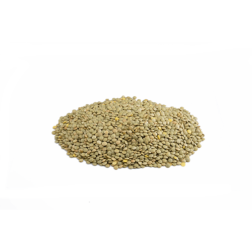 Grüne Linsen (1kg)